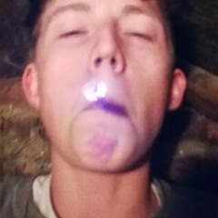 torinpearce
