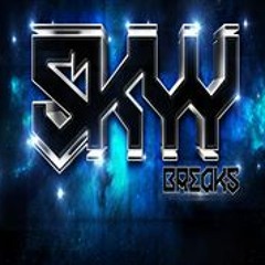 _SKYY_