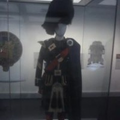 Teedo Slipstream Gordon