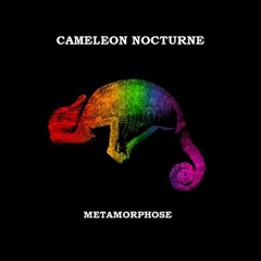Caméléon Nocturne