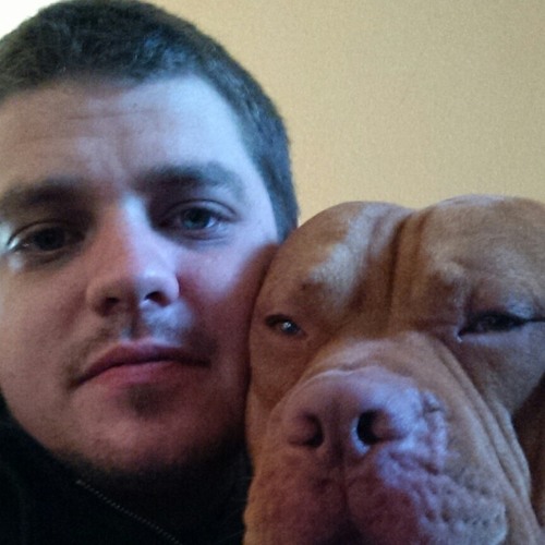 that handsome devil
