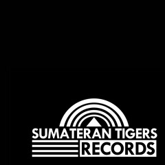 sumateran tigers records