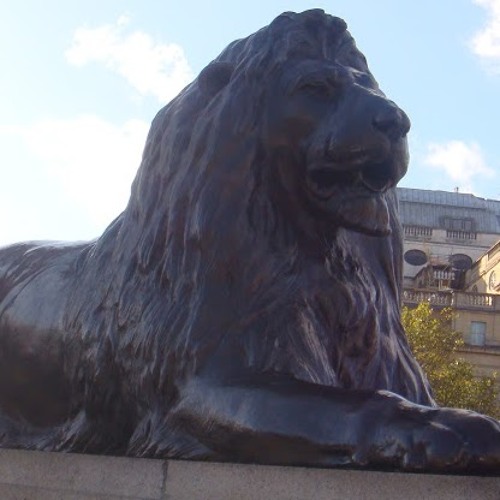 She's Not Crying  (Naseda)