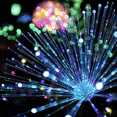 nicholas k hooper1989