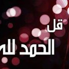 mahmoud elkady