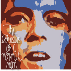 ThePleasuresofaNormalMan