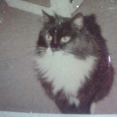 Mary Elizabeth Harris