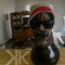 user119183409
