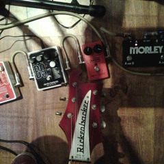 Thee Wylde Fuzz Show