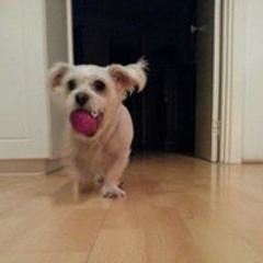 Brodie Melissa Payne