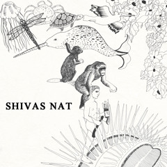 SHIVAS NAT