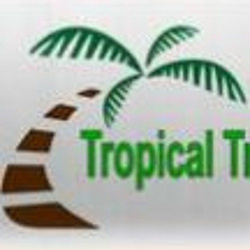 Tree  Pruning Honolulu - 808 - 254 - 9692 - Tree Service Oahu