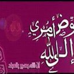 DrHanan Mohammed