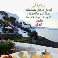 enas helmy