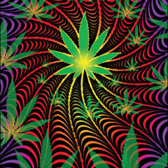 Brian Sanchez (Briansr03)