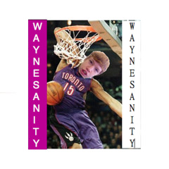 WayneSanity