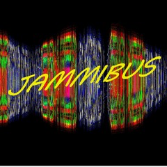 JAMMIBUS