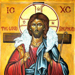 Homilies - Fr Jake Kurian