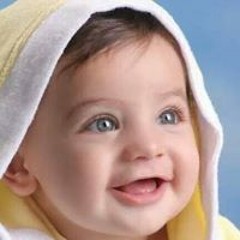 Essam Elgamal