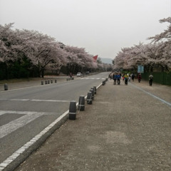 Soohyeon Cho