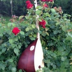 Terketmedi Sevdan Beni - Ahmed Arif - Saz