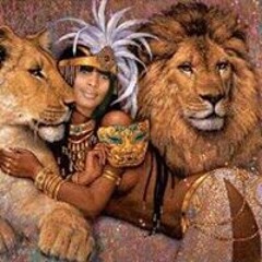 Denise Mrstroy Anderson