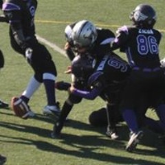 Ajay Xavier Wendlandt