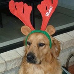 Belinda Willis Brown