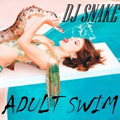 DJ  Snake