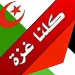 الشيخ حاتم فريد