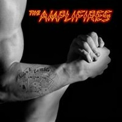 TheAmplifires Matlock