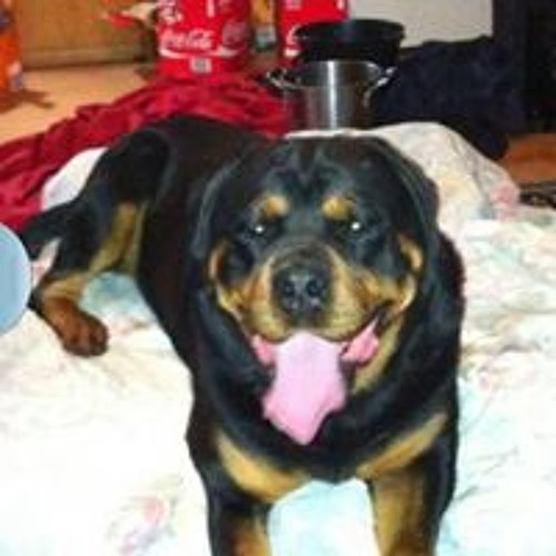 Stream Tina Blake music | Listen to songs, albums, playlists for free