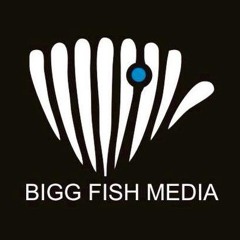 Bigg Fish Media