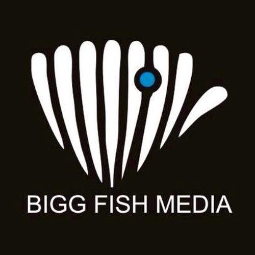 Stream Bigg Fish Media | Listen to music albums online for free on SoundCloud Bigg Fish Media
