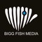 Bigg Fish Media