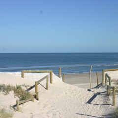 Stephen Von Der Borch