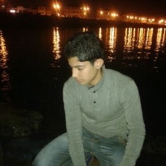 Alaa elbrens