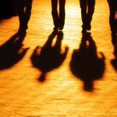 Casting Shadows