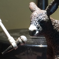 The Silver Donkey