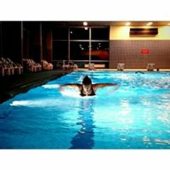 Annkathrin G. Vesterdal