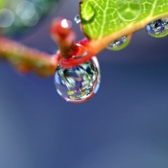 Blinking Lights Club