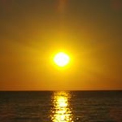 Connie Camillo Gillies