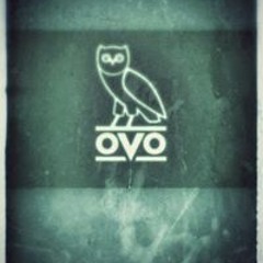 Amari Kinda Kool Randall