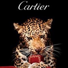 Nini Cartier