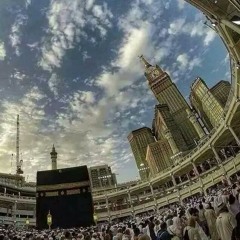 user993154523