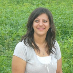 Haidy A. Ghattas