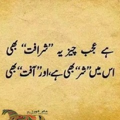 user133107821