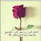 Eman El Saghir