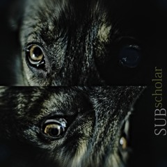 SUBscholar