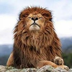 Quince Shakim Holmes